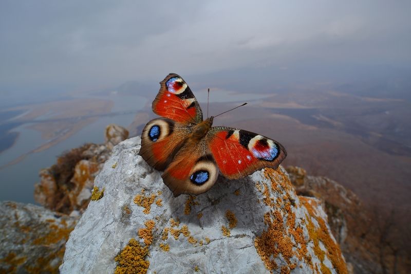 На крыше мираphoto preview