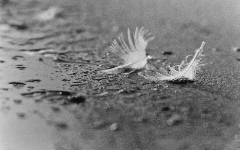 Photo, photo studio, photo travel, photo nature, woomen Texturephoto preview