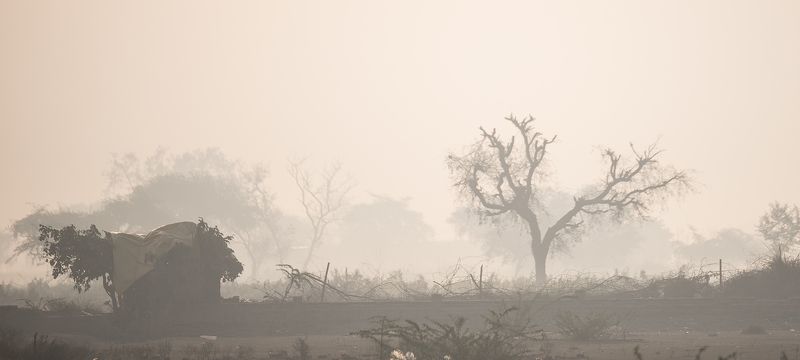 утренний туманphoto preview