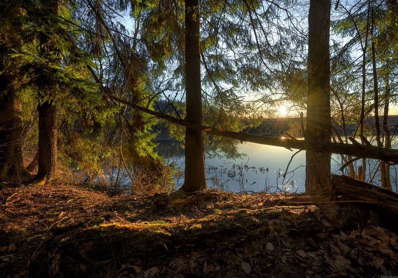 #пейзаж #весна #подмосковье #чехов #красиво #природа #восход #утро  / Подмосковные дебри /photo preview