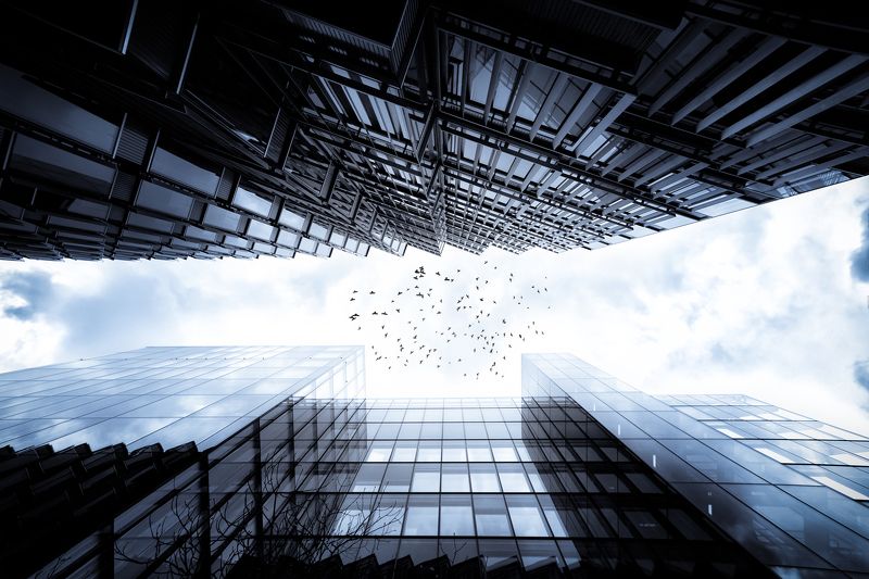 The Signphoto preview