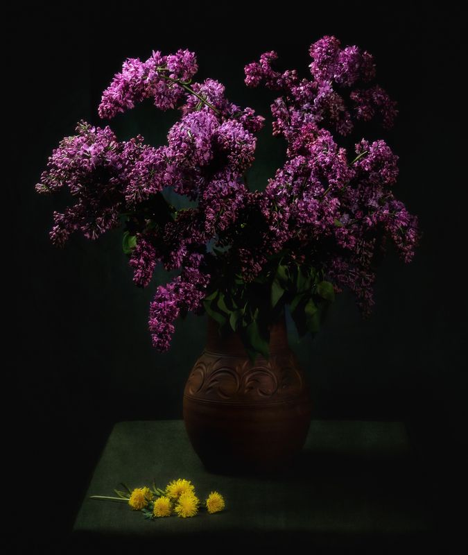 сирень ***photo preview