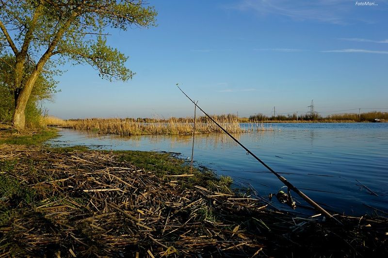 Весенний пейзаж на закате. фото превью