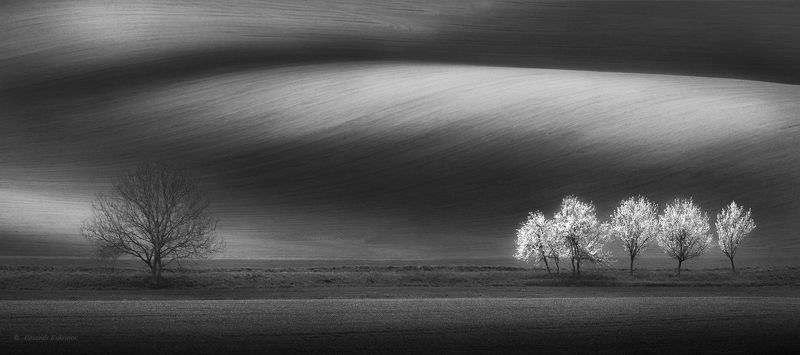 весна, пейзаж, моравия, путешествия, туризм Весна по-моравски...photo preview