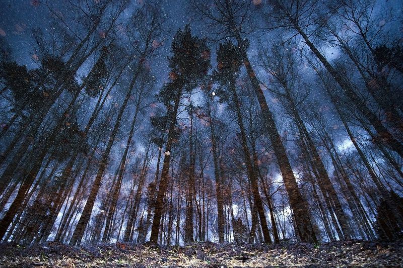 Призраки осенних звездphoto preview