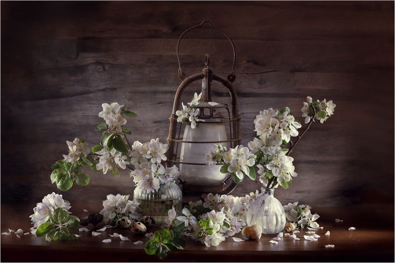 натюрморт,весна Цветы нового дня...photo preview