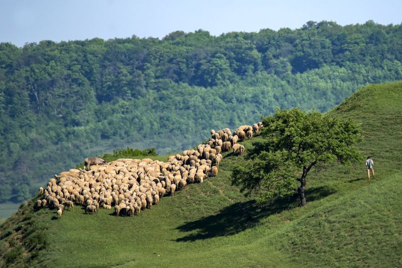 За работойphoto preview