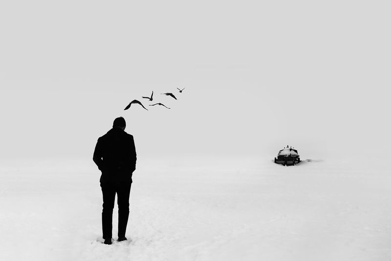 вороны, мысли, без конца, бесконечность, лодка, снег, зима, взморье, юрмала, минимализм Бесконечностьphoto preview