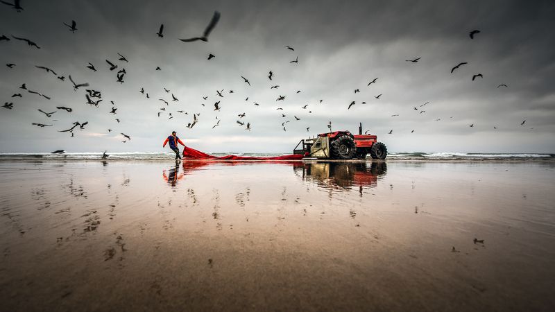 hugo StrongManphoto preview