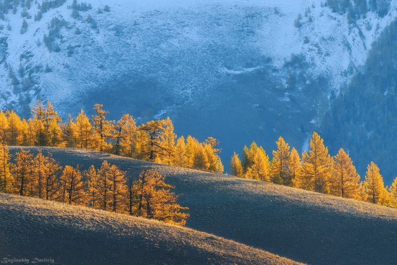 Алтайские склоны.photo preview