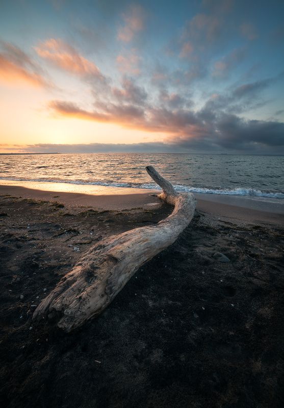 Морское утроphoto preview