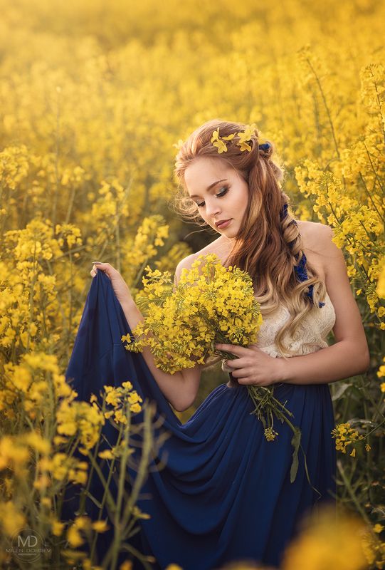 portrait, model, beauty, rapeseed, yellow ***photo preview