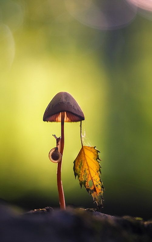 С осенью наединеphoto preview