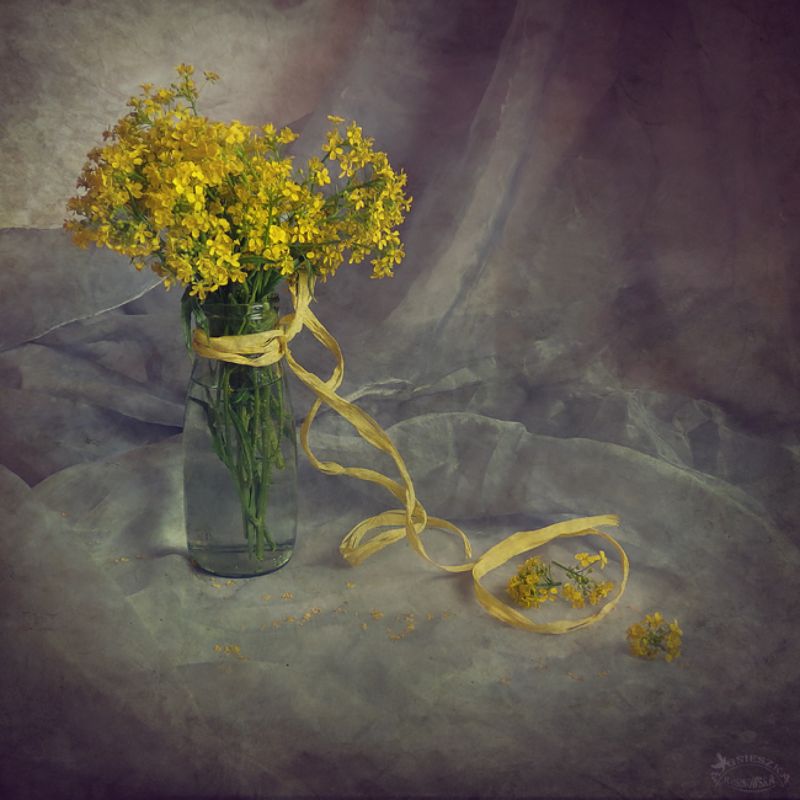 Cztery pory roku - Wiosnaphoto preview