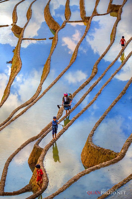 quanphoto, landscape, vertical, people, clouds, reflections, surface, farmland, agriculture, vietnam, rural Vertical Limitphoto preview