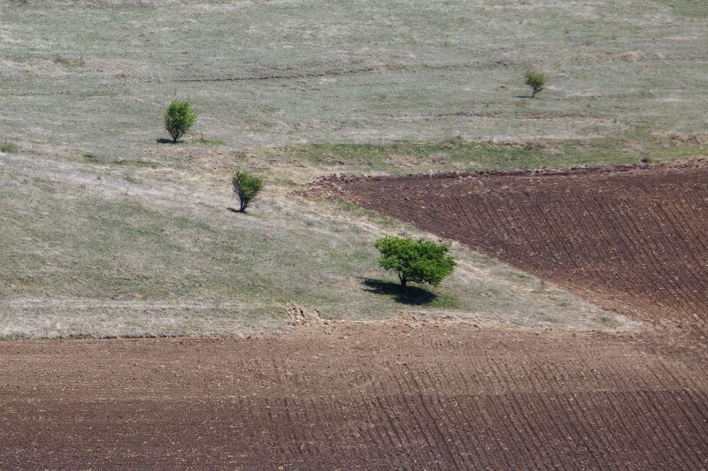 карачаево-черкесия,кчр, поле  , природа  , геометрия Минимализм- фото превью