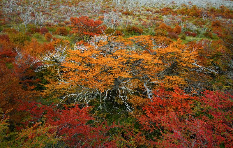 autumn Осенний циферблат фото превью