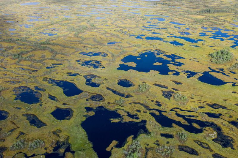 Западная Сибирь Томская область васюганское болото  васюганское болотоphoto preview
