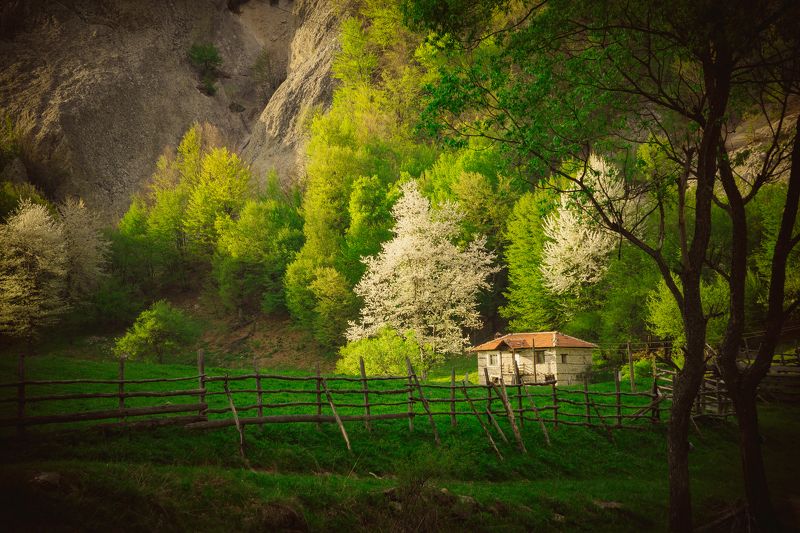 sonya6000 ...photo preview