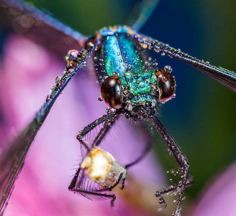 Трудный взлётphoto preview