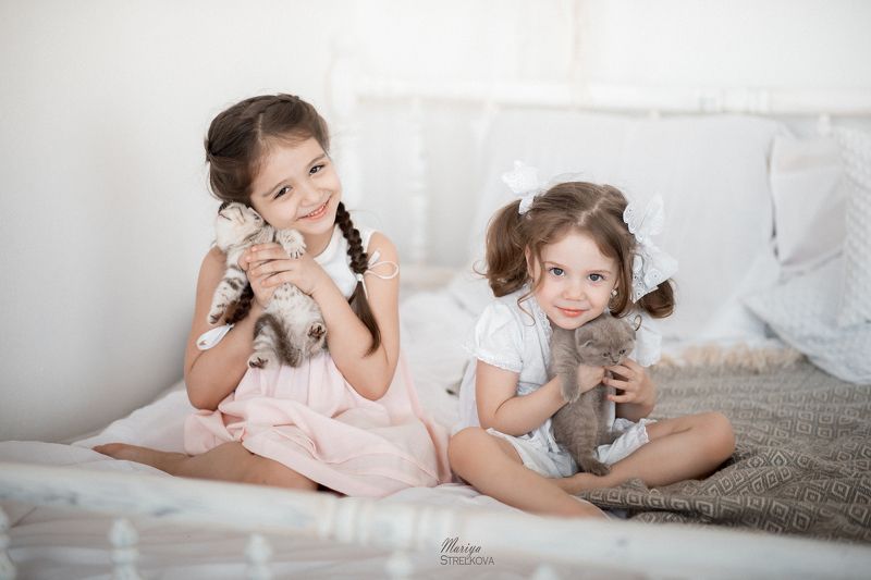 котики, котята, дети, Божечки - кошечки!photo preview