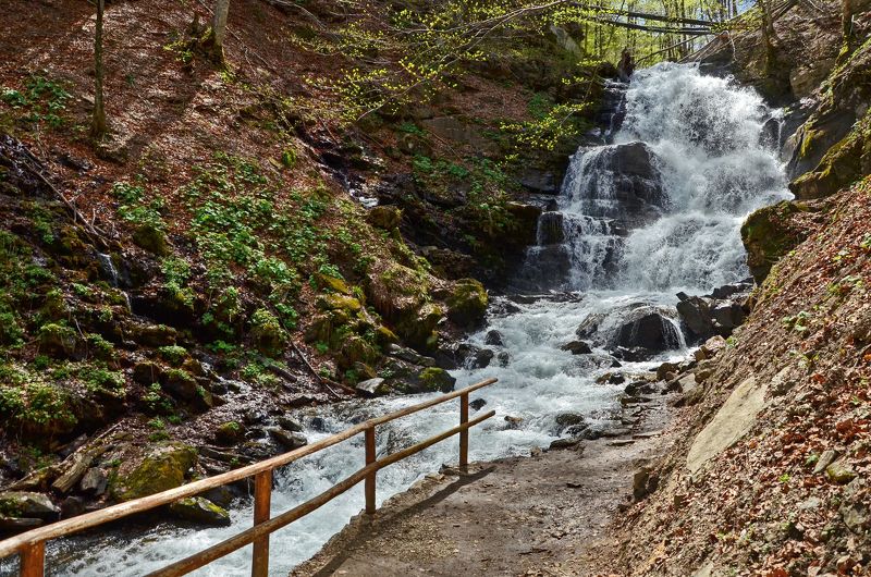 закарпатье, горный массив боржава, апрель, весна, многоцветье Весна в Закарпатьеphoto preview