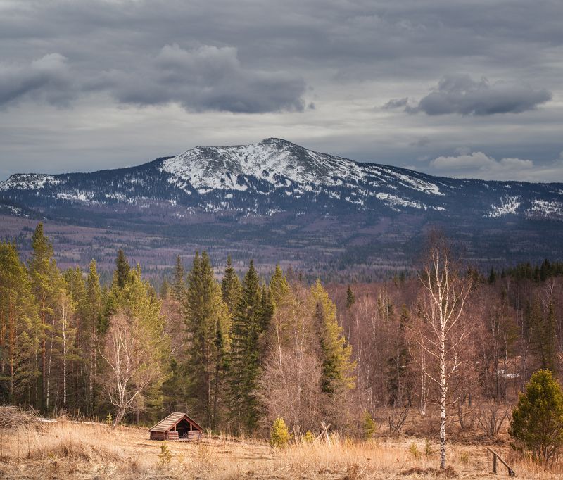 *** фото превью