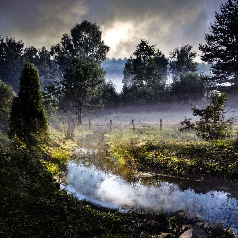 утро, туман, природа Утреннее пастбищеphoto preview