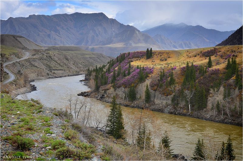 алтай, весна, горы, катунь Весна в горном Алтаеphoto preview