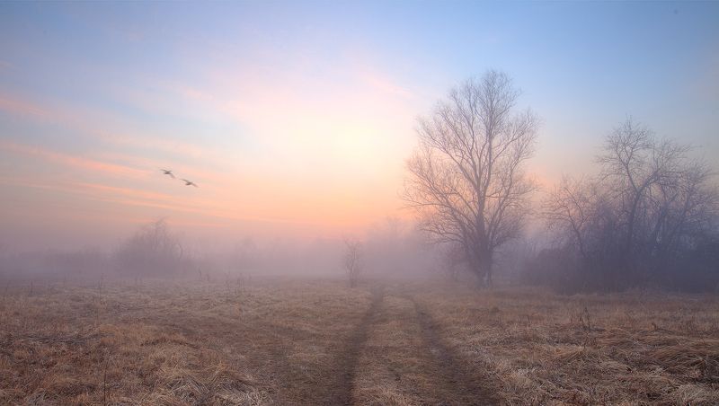 Веснаphoto preview