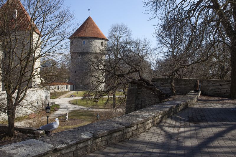 весеннееphoto preview