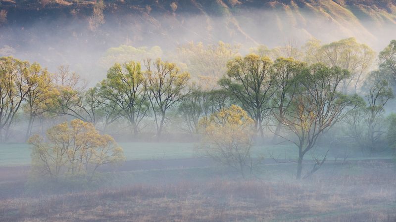 в лучах солнцаphoto preview