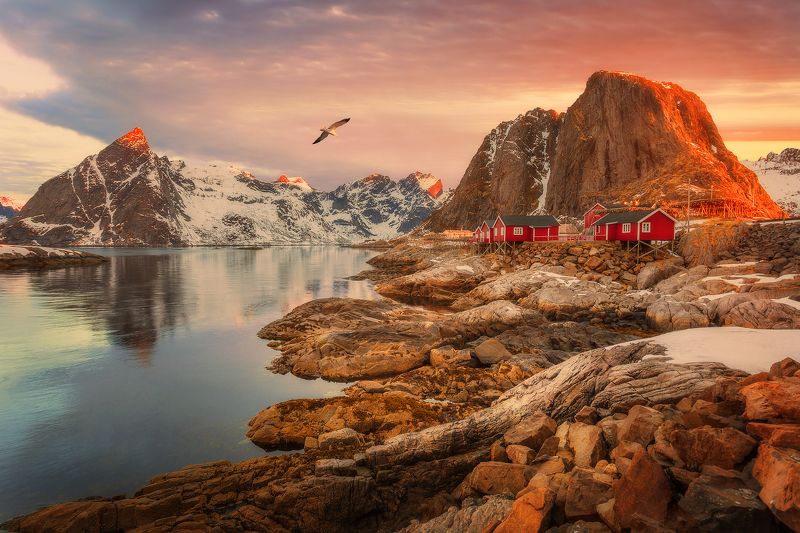 beach, Norway, Lofoten, sunset, sunrise, long exposure, mountains, sea, clouds, stones, Hamnoy,  Hamnoyphoto preview