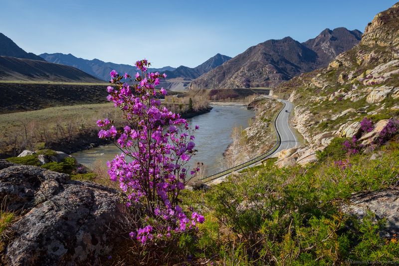 Чуйский тракт, Горный Алтай.photo preview