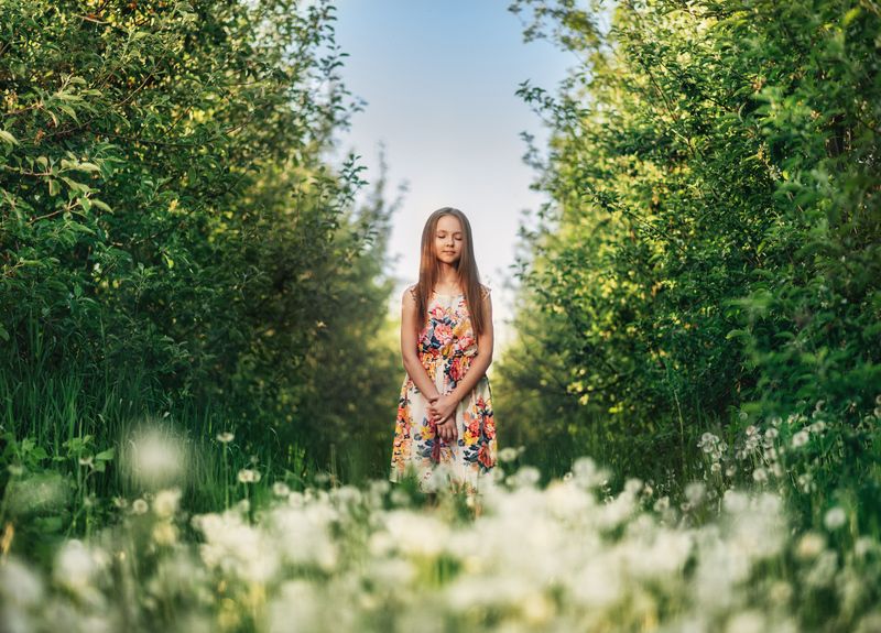 Одуванчикиphoto preview