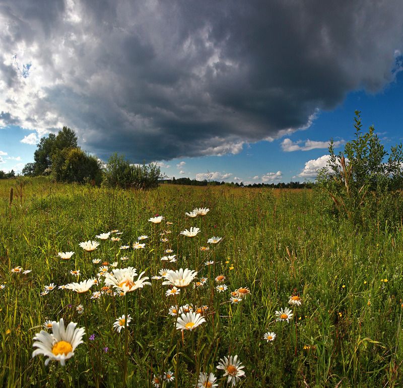 шатура Летнее настроение .photo preview