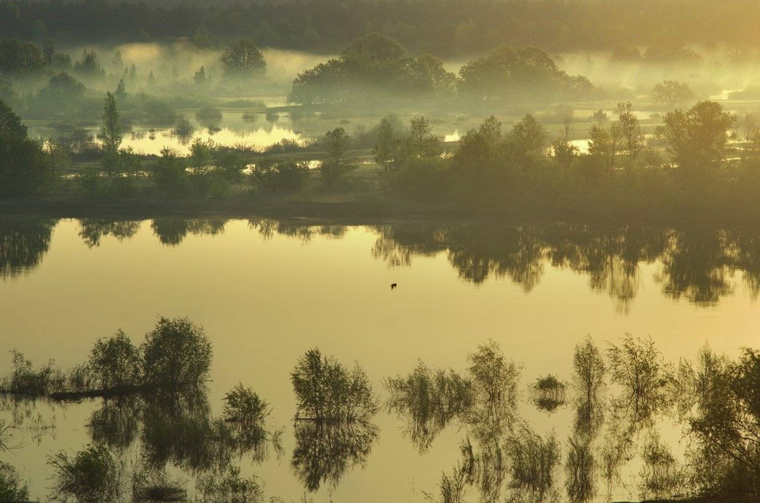 , Сергей Шляга