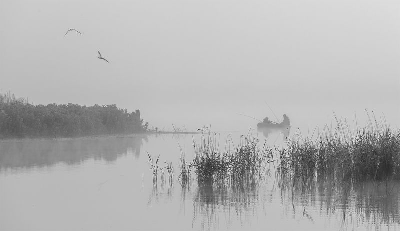 На зорькеphoto preview