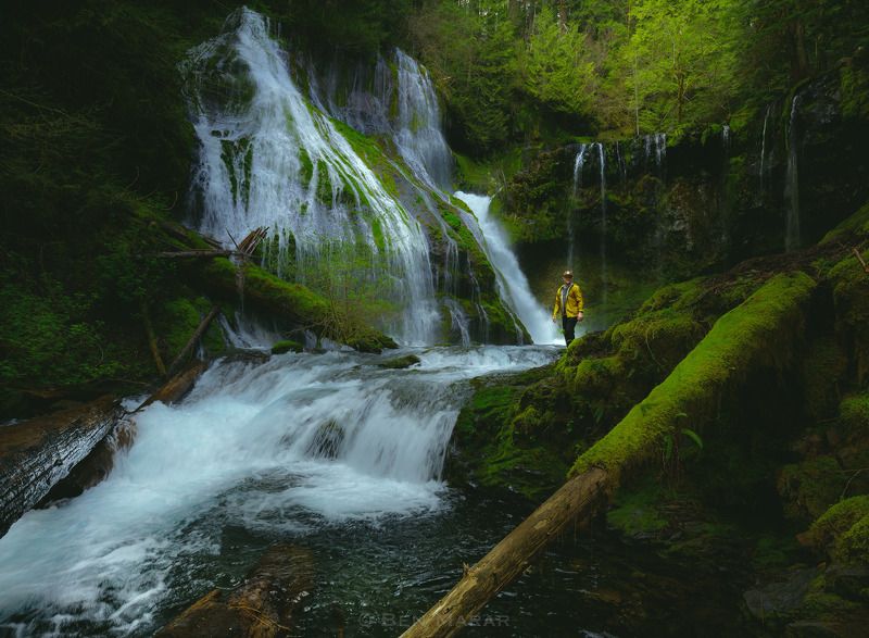 Into Jurassic Periodphoto preview