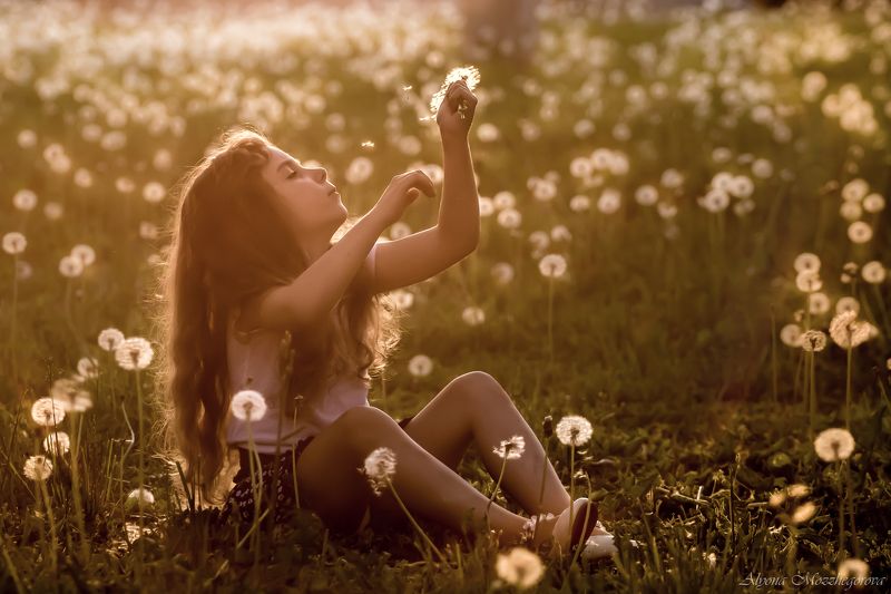 Одуванчики...photo preview