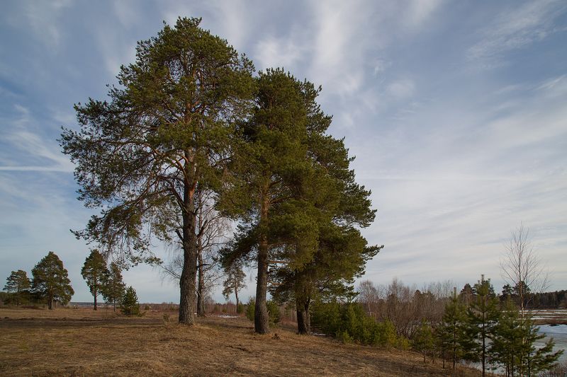 ********photo preview