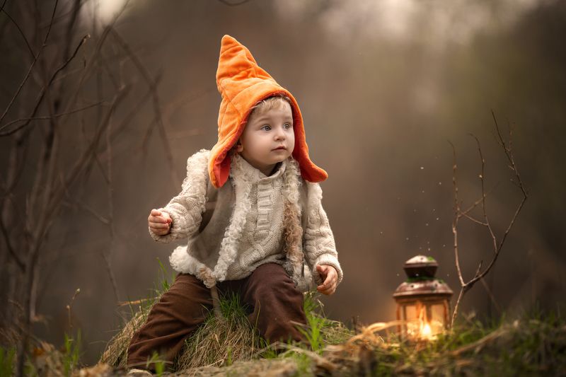 гномphoto preview