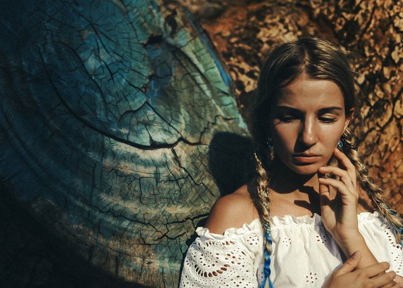 trees Save treesphoto preview