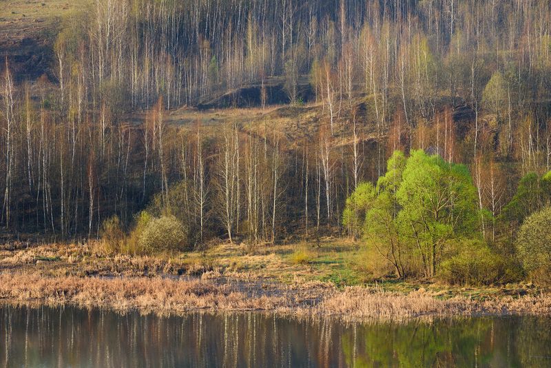 веснаphoto preview