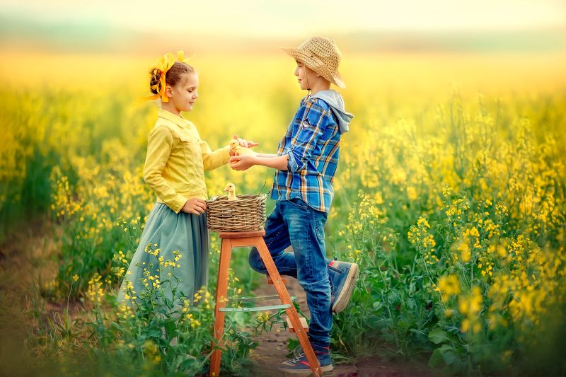 Yellow Springphoto preview