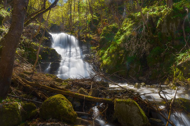 Към Боянския водопадphoto preview
