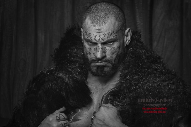 портрет Викингphoto preview