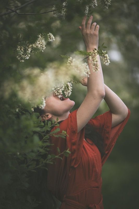 spring hungerphoto preview