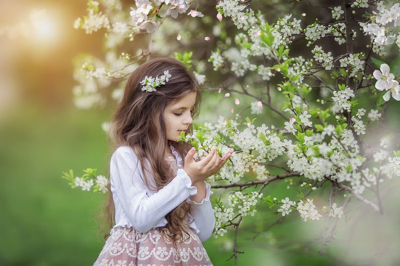 сады, черемуха, яблони, коломенское, москва, весна photo preview