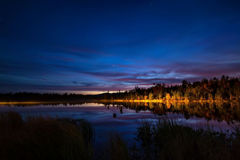 ночь,озеро,лес,небо,свет, Сказочная ночь фото превью